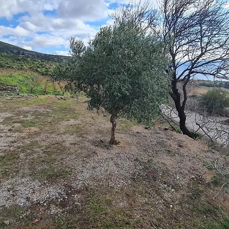 Villa More Vila Postup