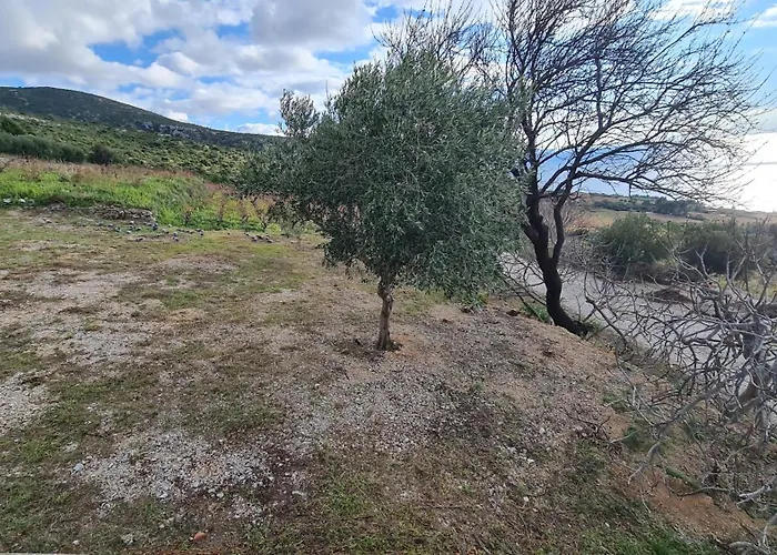 Villa More 빌라 Postup